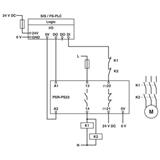 Phoenix Contact PSR-PS22-1NO-1NC-24VDC-SC