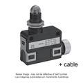 Azbil SL1-AXG5 Compact Horizontal Limit Switch