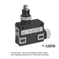 Azbil SL1-DAG3 Compact Horizontal Limit Switch