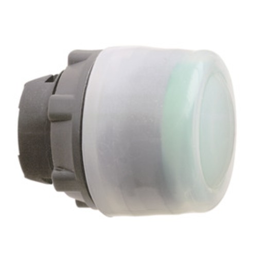 Schneider Electric ZB5AP38 Turkiye