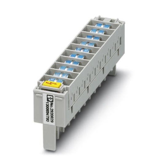 Phoenix Contact CT 10-2/2-GS/3E-110AC Turkiye
