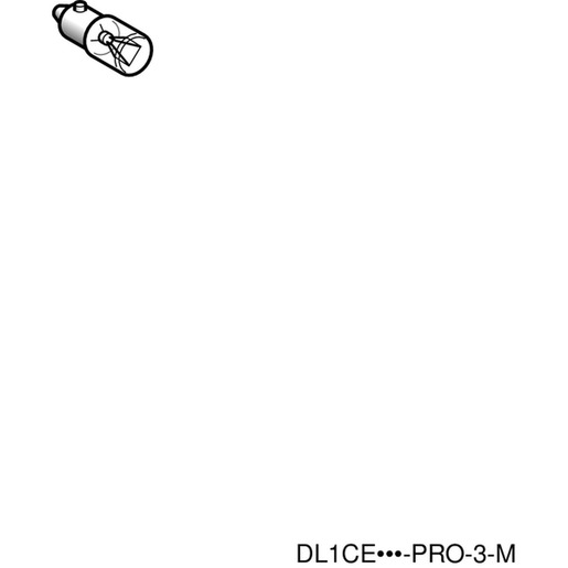 Schneider Electric DL1CE012 Turkiye