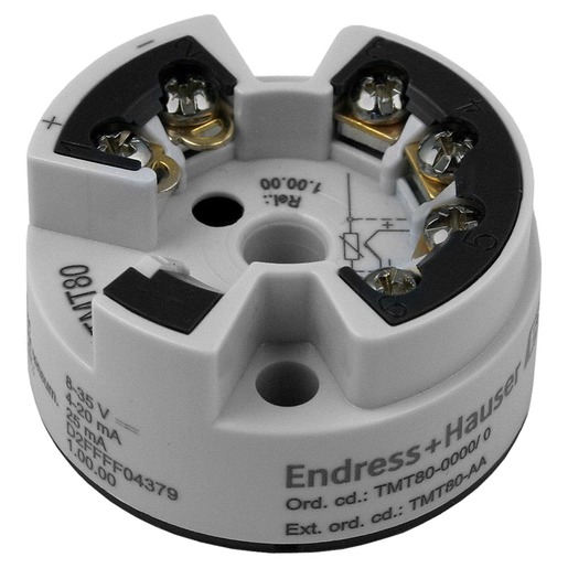 Endress + Hauser TMT80-AA Turkiye