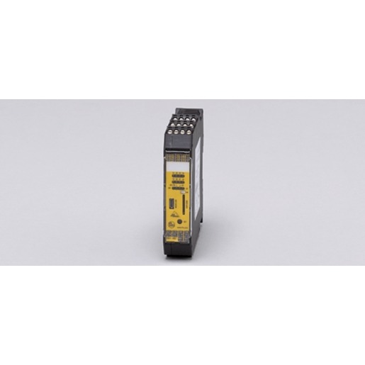 Ifm Electronic Safety Monitor / 2 channel PNP Turkiye