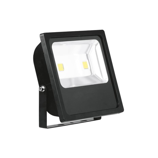 Aurora Lighting EN-FL100A/40 Turkiye