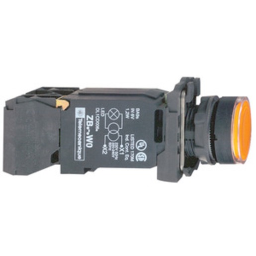 Schneider Electric XB5AW3545 Turkiye