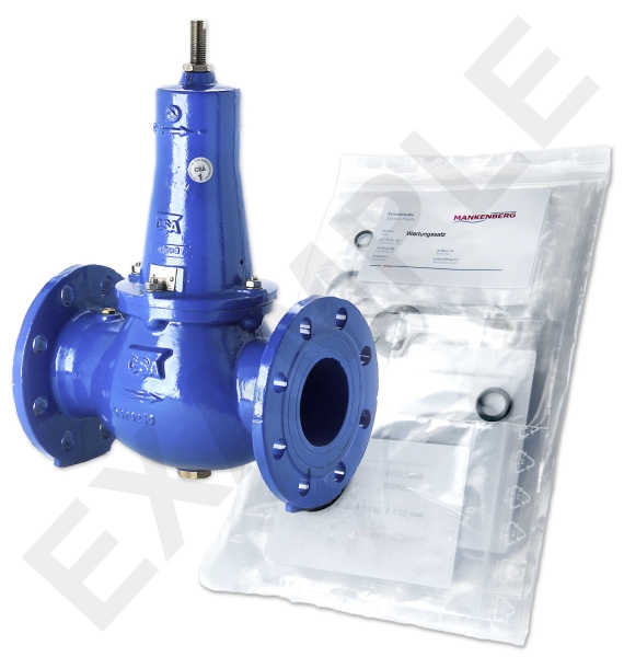 Mankenberg 6644121A WS Maintenance Kit for VRCD (DM 644) | DN 65 (2 1/2