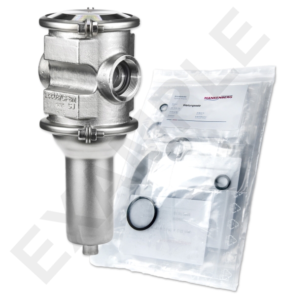 Mankenberg 6655103TA-3 WS Maintenance Kit for DM 555 | DN 25 (1“) | Art No 6655103TA-3 Turkiye