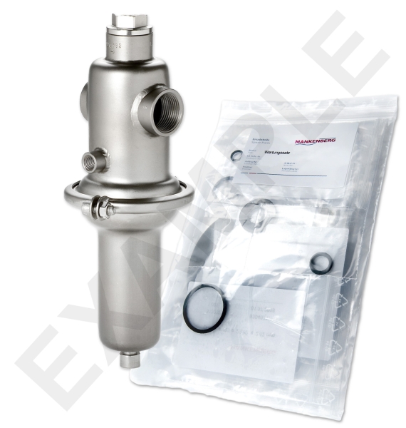 Mankenberg 6562033TA-93  WS Maintenance kit WS/DM652-40-FA22-16-D054-8-V1-EE-E28  | Art-No Turkiye