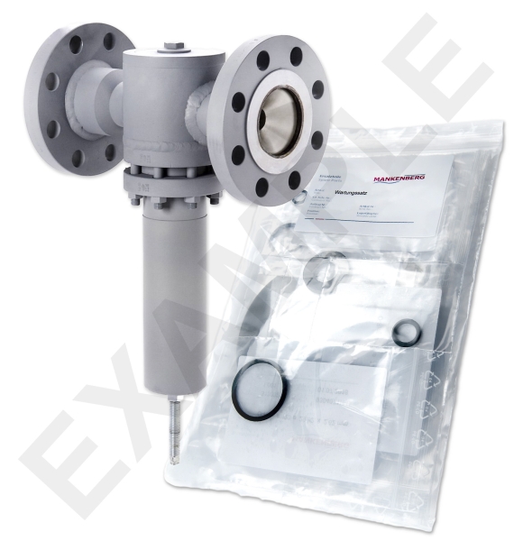 Mankenberg 6621404TA     WS Maintenance Kit WS/DM620-80-FA05-63-D083-10-V1-FF-E29-E80 | Turkiye