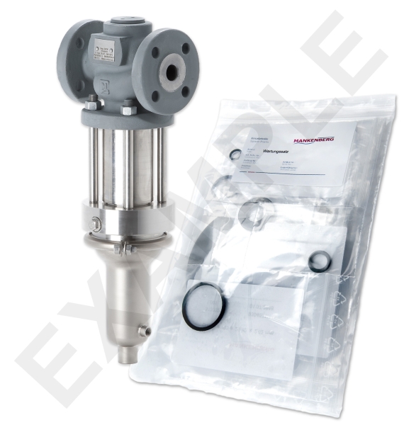 Mankenberg 6618131BA-1   WS Maintenance Kit WS/DM618Z-65-FA11-16-D060-80-CS-YE-N | Turkiye