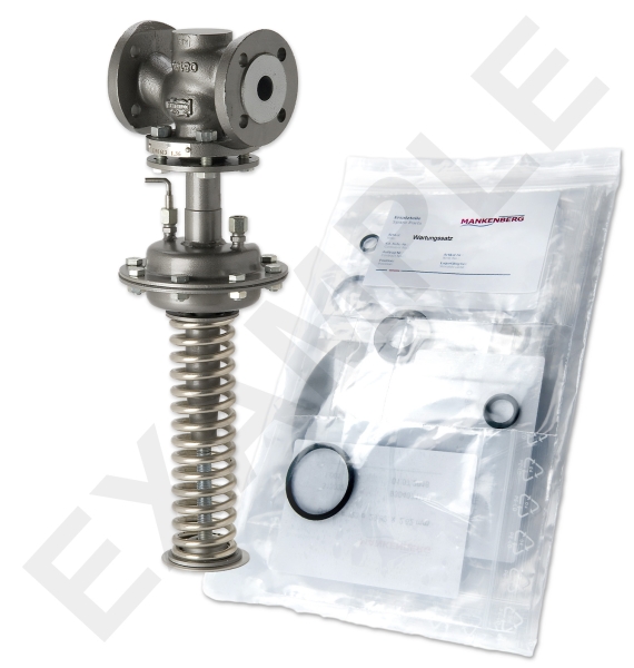 Mankenberg 65540700-E    WS Maintenance Kit WS/DM613   50    * 16ST 32E -10EG | Turkiye
