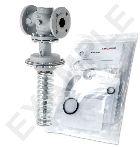 Mankenberg 65484669A-2   WS Maintenance Kit WS/DM604-150-FA11-16-D060-100-CS-YE-E77 | Turkiye