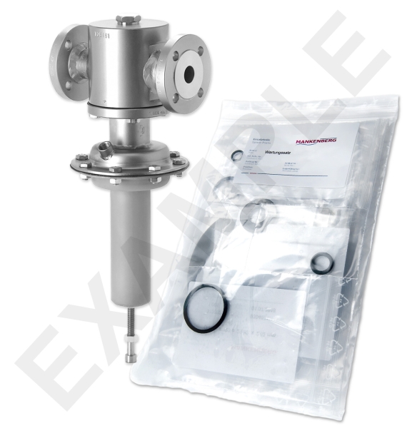 Mankenberg 6526069UA-101 WS Maintenance Kit WS/DM512-25-FA04-40-D042-0,25-V1-YX-E81-E87 | Turkiye