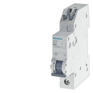 Siemens 5SJ6110-6KS