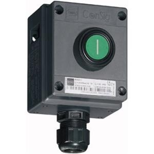 Stahl Schaltgeräte 8040/1180X-01L50SA05 Turkiye