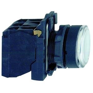 Schneider Electric XB5AW31B5 Turkiye