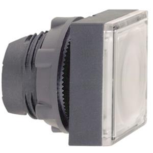 Schneider Electric ZB5CW313 Turkiye