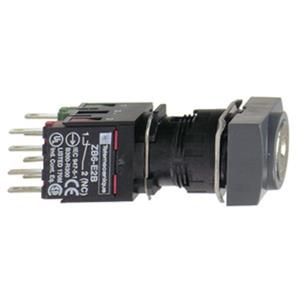 Schneider Electric XB6DGC5B Turkiye