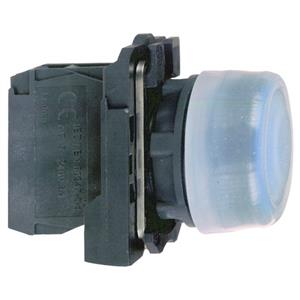 Schneider Electric XB5AP61 Turkiye