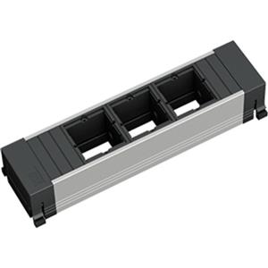 Bachmann 916.010