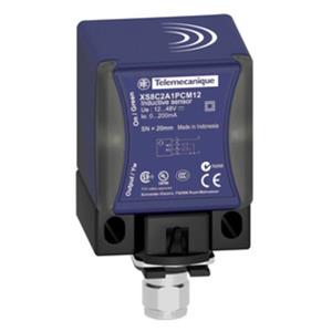 Schneider Electric XS7C2A1PBM12