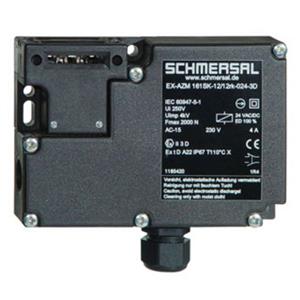 Schmersal EX-AZM 161SK-12/12RKA-024-3D Turkiye