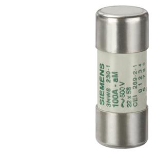 Siemens 3NW8210-1 Turkiye