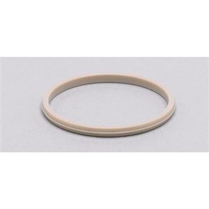 Ifm Electronic PEEK SEAL