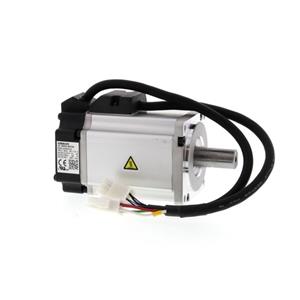 Omron R88M-G40030H-S2 Turkiye