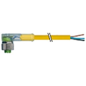 Murrelektronik 7000-12381-0131000 Turkiye