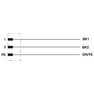 Phoenix Contact SACC-DSI-M12MSS-3P-M16/0,5 PE Turkiye