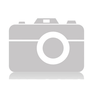 Barksdale D2X-J80SS-P2-EX Druckschalter Turkiye