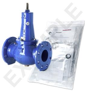 Mankenberg 6644141A WS Maintenance Kit for VRCD (DM 644) | DN 100 (4