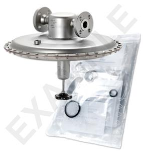 Mankenberg 6630162TA-9   WS Maintenance Kit WS/DM762-15-FA22-16-D023-2,8-V1-FN-N | Turkiye