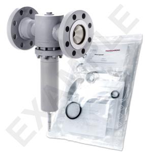 Mankenberg 6621450TA-102 WS Maintenance Kit WS/DM620-80-FA28-100-D083-12-V1-FF-E29-E80   | Turkiye