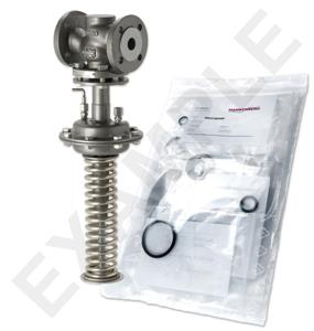 Mankenberg 65550700-2    WS Maintenance Kit WS/DM613-65-FA19-16-D068-32-GG-EE-E77 | Turkiye
