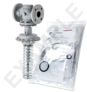 Mankenberg 65464689A     WS Maintenance Kit WS/DM604-80-FA13-40-D066-80-CS-YE-N | Turkiye