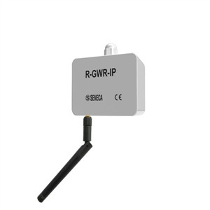 Seneca R-GWR-IP Industrial sensor with digital / analog input Turkiye