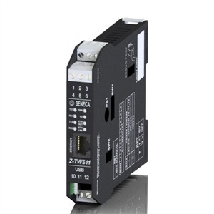 Seneca Z-TWS11 IEC 61131 Controller, Straton IDE, 2AI built-in Turkiye