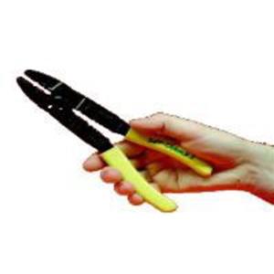 AMP SUPER CHAMP Turkiye