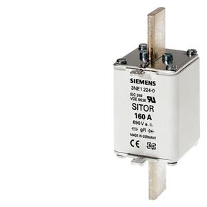 Siemens 3NE1230-0 Turkiye