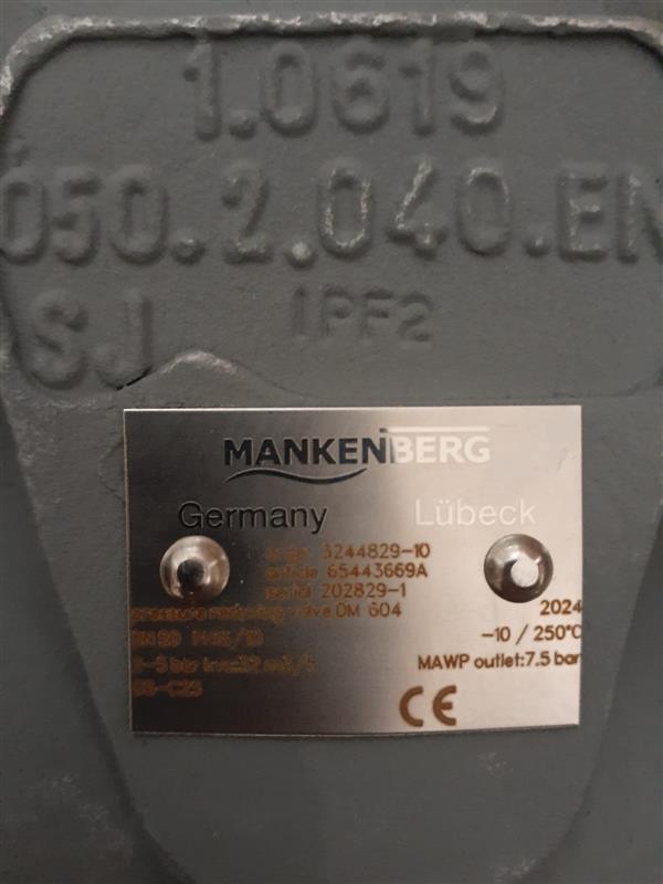 Mankenberg DM604-50-FA11-16-D060-32-CS-YE-N Basınç Düşürücü Vana_0 Turkiye
