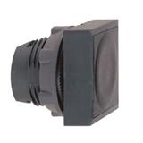 Schneider Electric ZB5CA2
