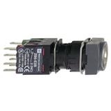 Schneider Electric XB6CGH5B