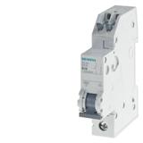 Siemens 5SJ6113-7KS