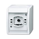 Busch-Jaeger 2661 W-54