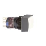 Schneider Electric XB6EDA11P
