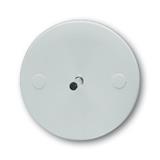 Busch-Jaeger 6197/71