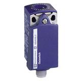 Schneider Electric ZCP21M12